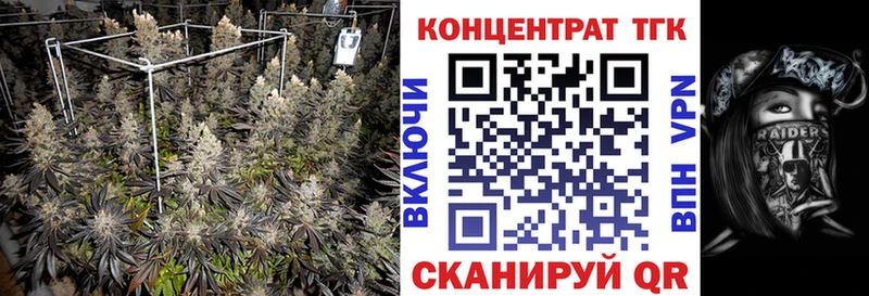 Купить закладки  Абдулино  ТГК Wax 